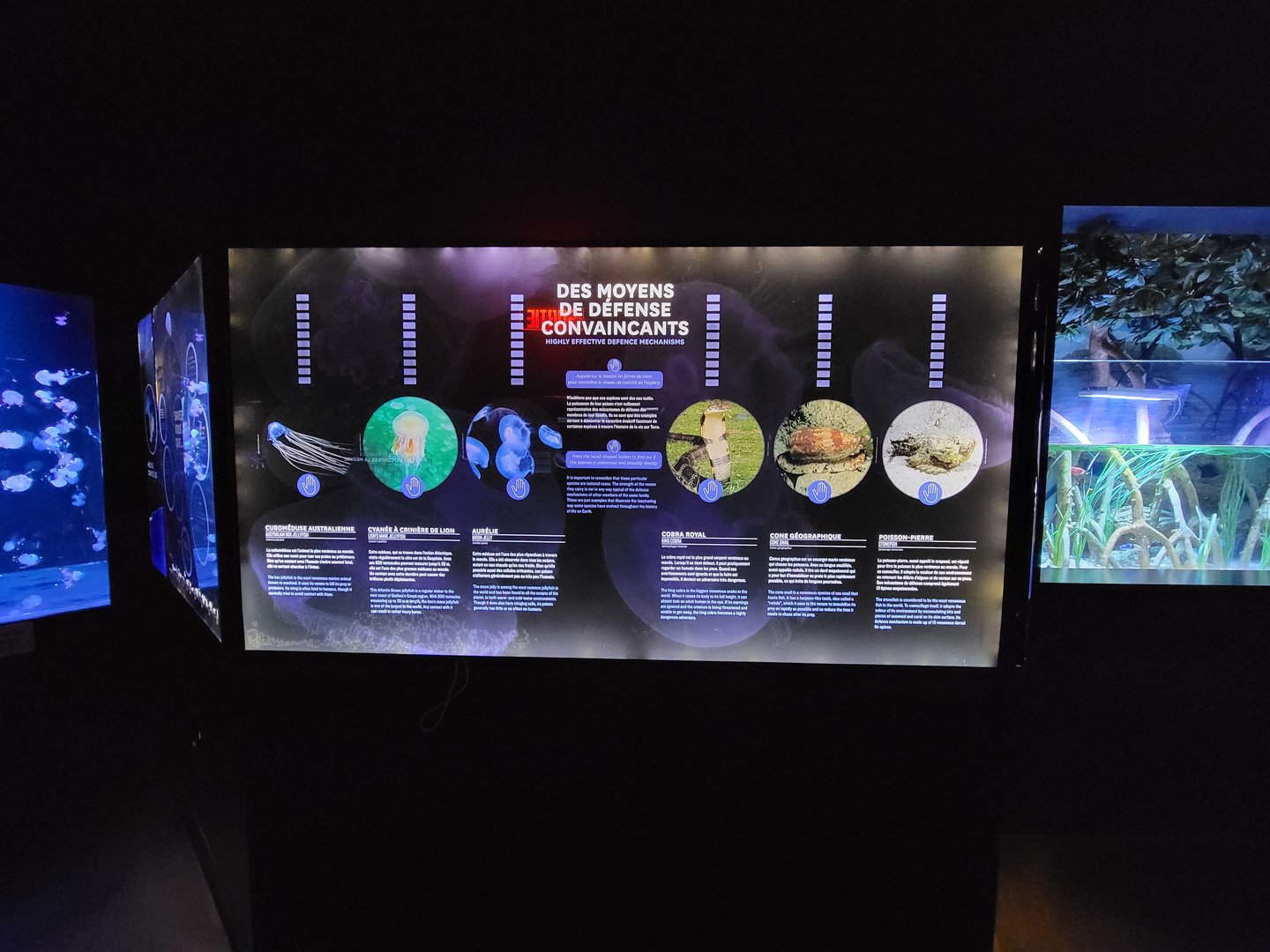 Aquarium du Quebec - Pavillon des profondeurs, Highly Effective Defence Mechanisms