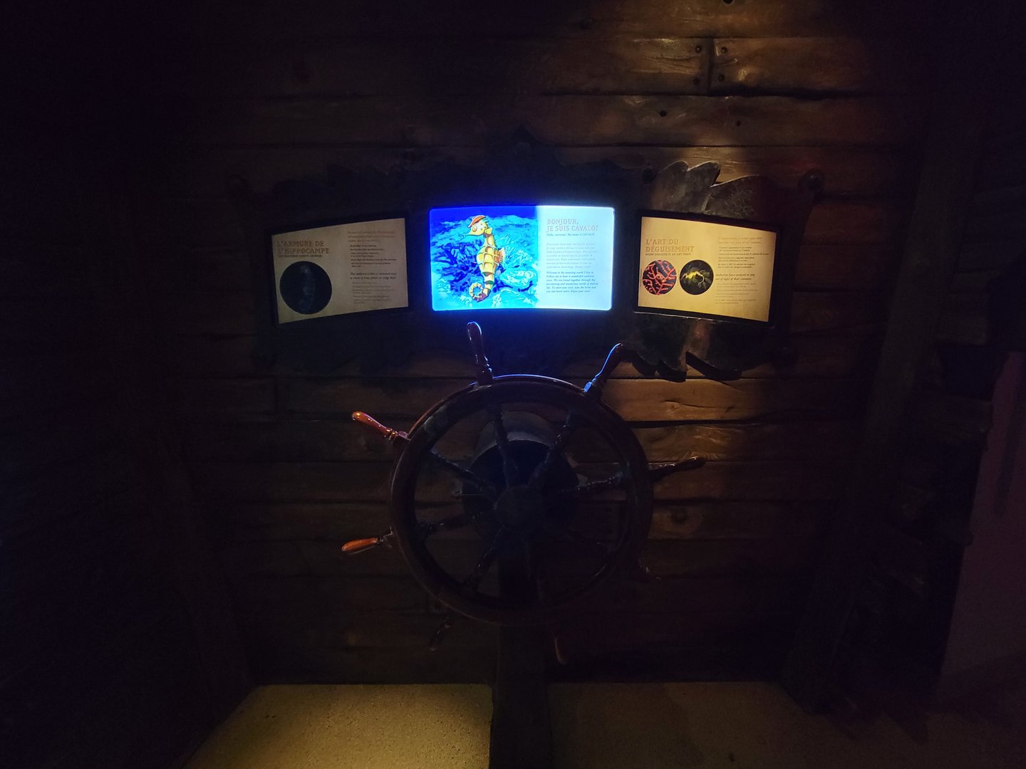 Aquarium du Quebec - Pavillon des profondeurs, interactive seahorse game