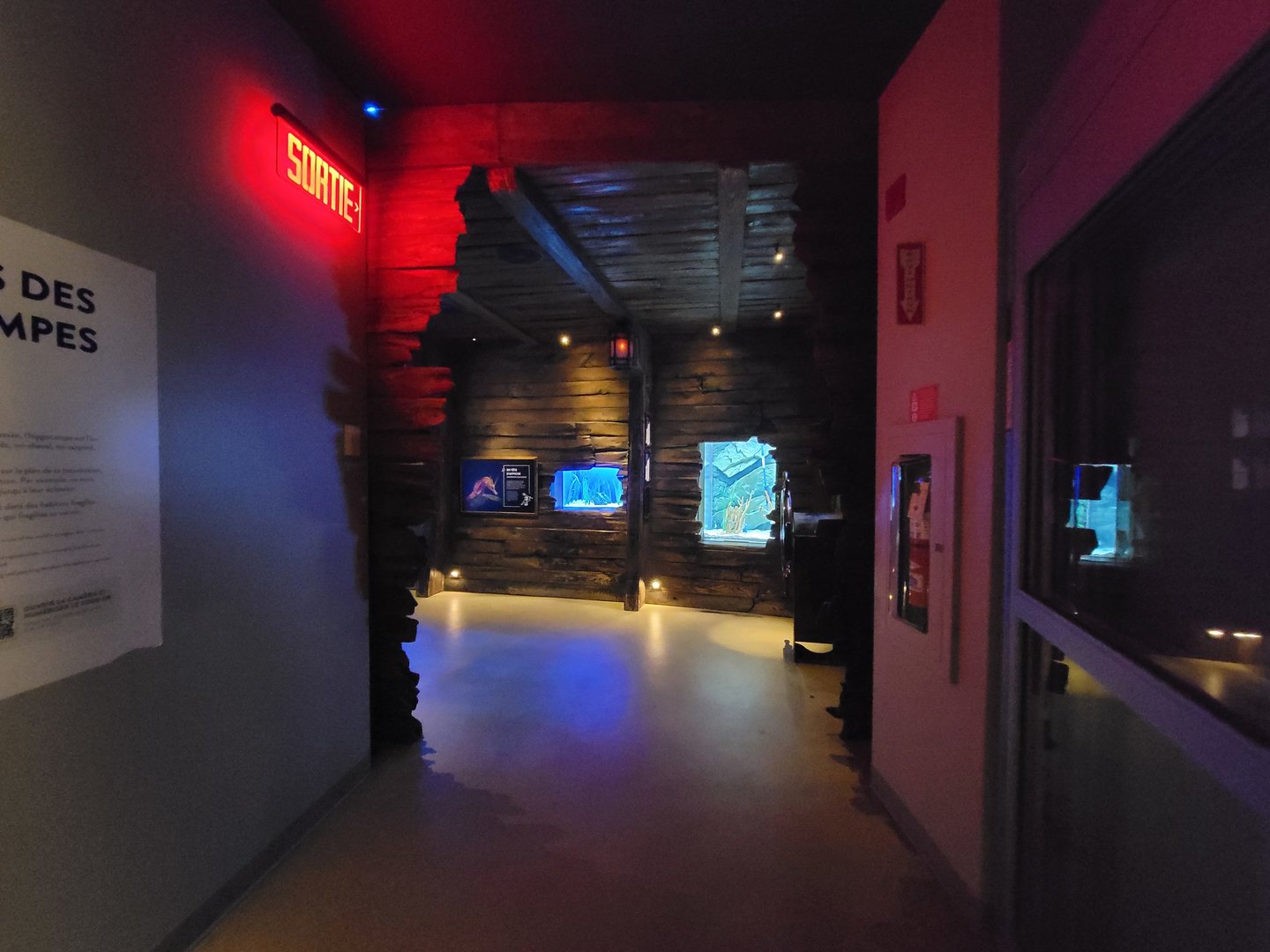 Aquarium du Quebec - Pavillon des profondeurs, into the seahorses room