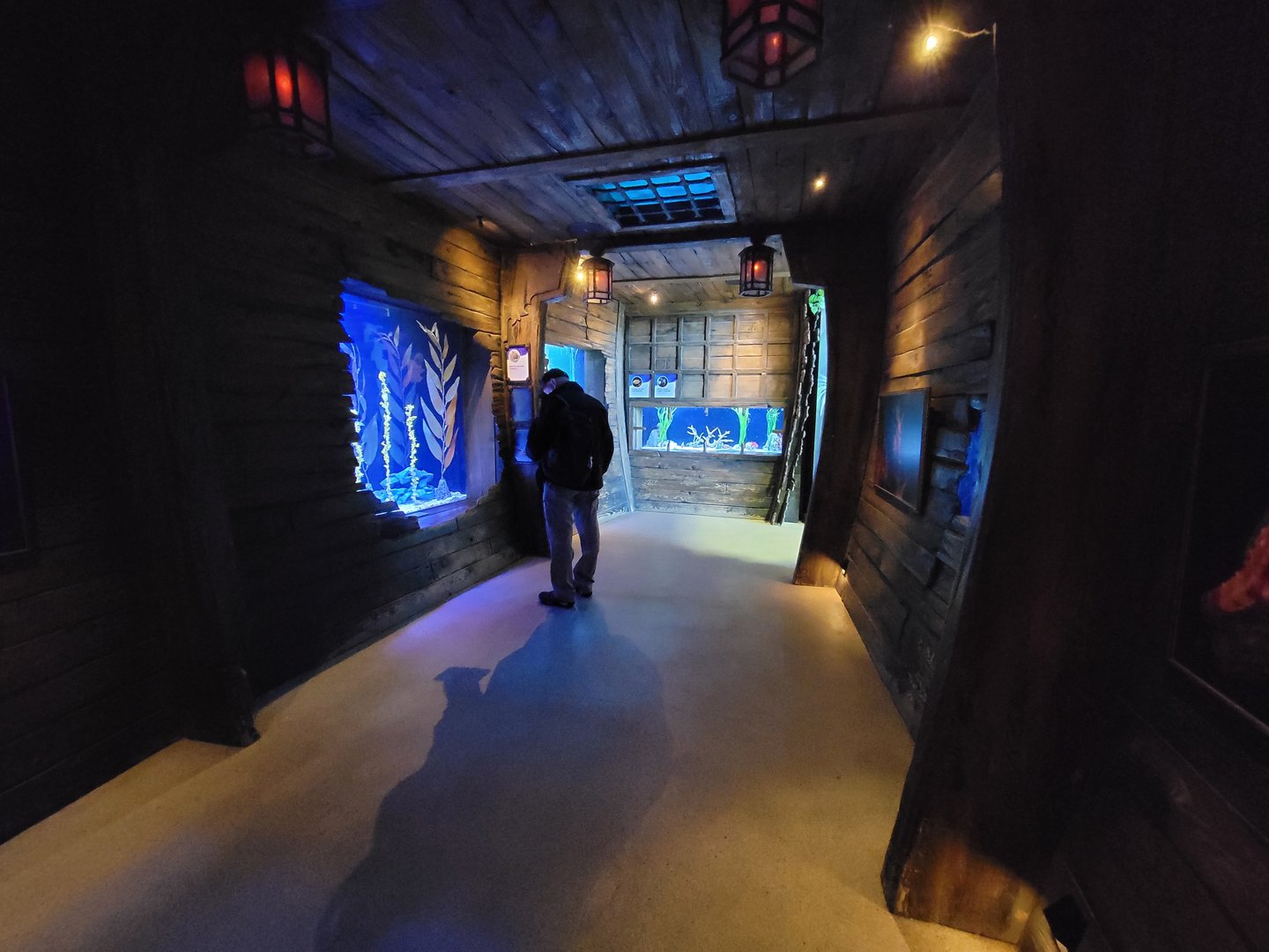 Aquarium du Quebec - Pavillon des profondeurs, Seahorse room