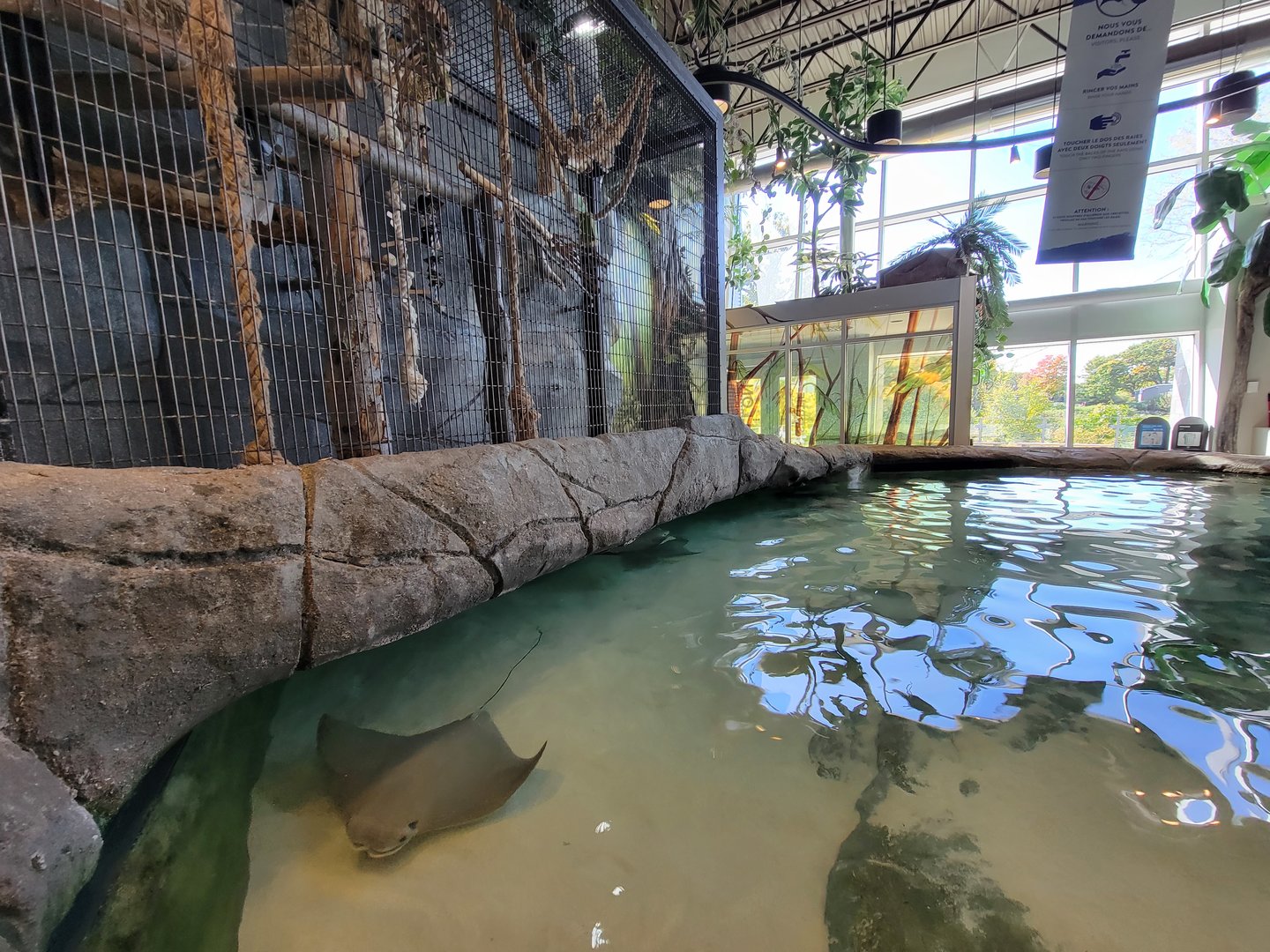 Aquarium du Quebec - Pavillon des profondeurs, Touch Tank