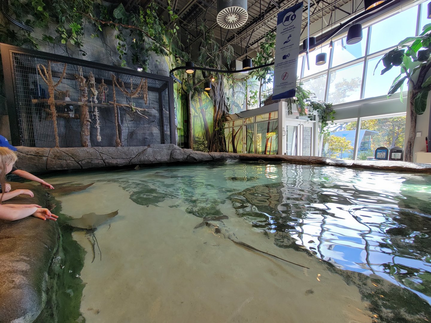 Aquarium du Quebec - Pavillon des profondeurs, Touch Tank