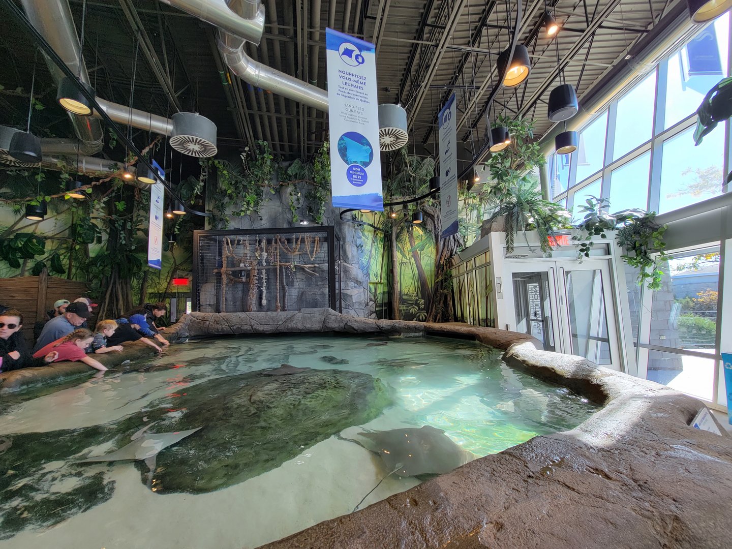Aquarium du Quebec - Pavillon des profondeurs, Touch Tank
