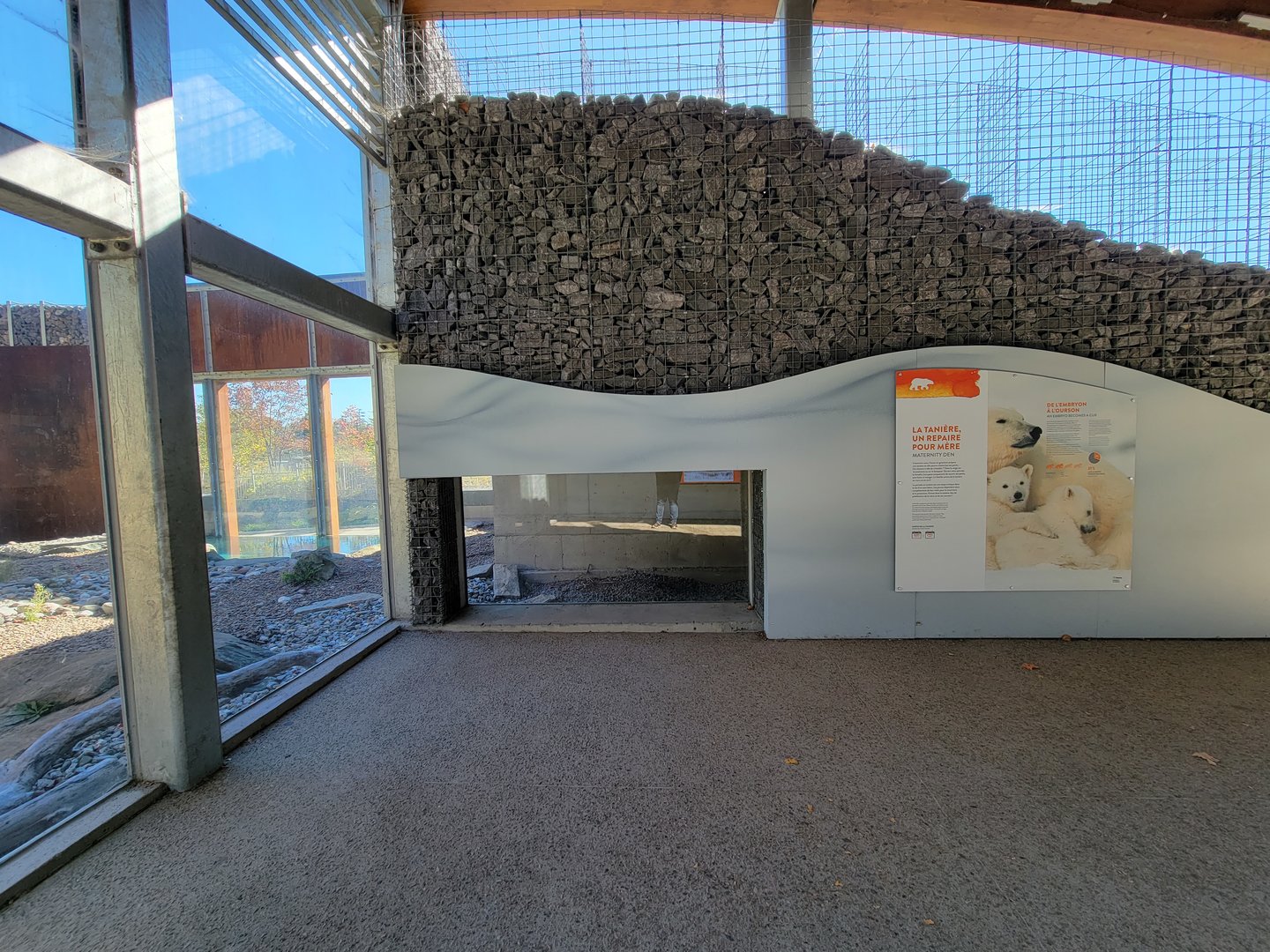 Aquarium du Quebec - Polar Bears, grass yard, den area
