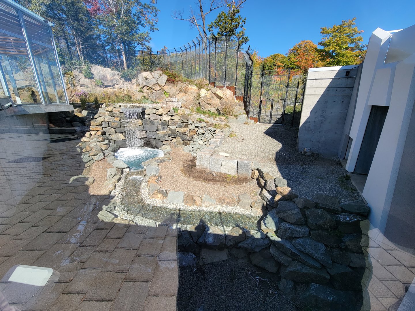 Aquarium du Quebec - Polar Bears, grass yard