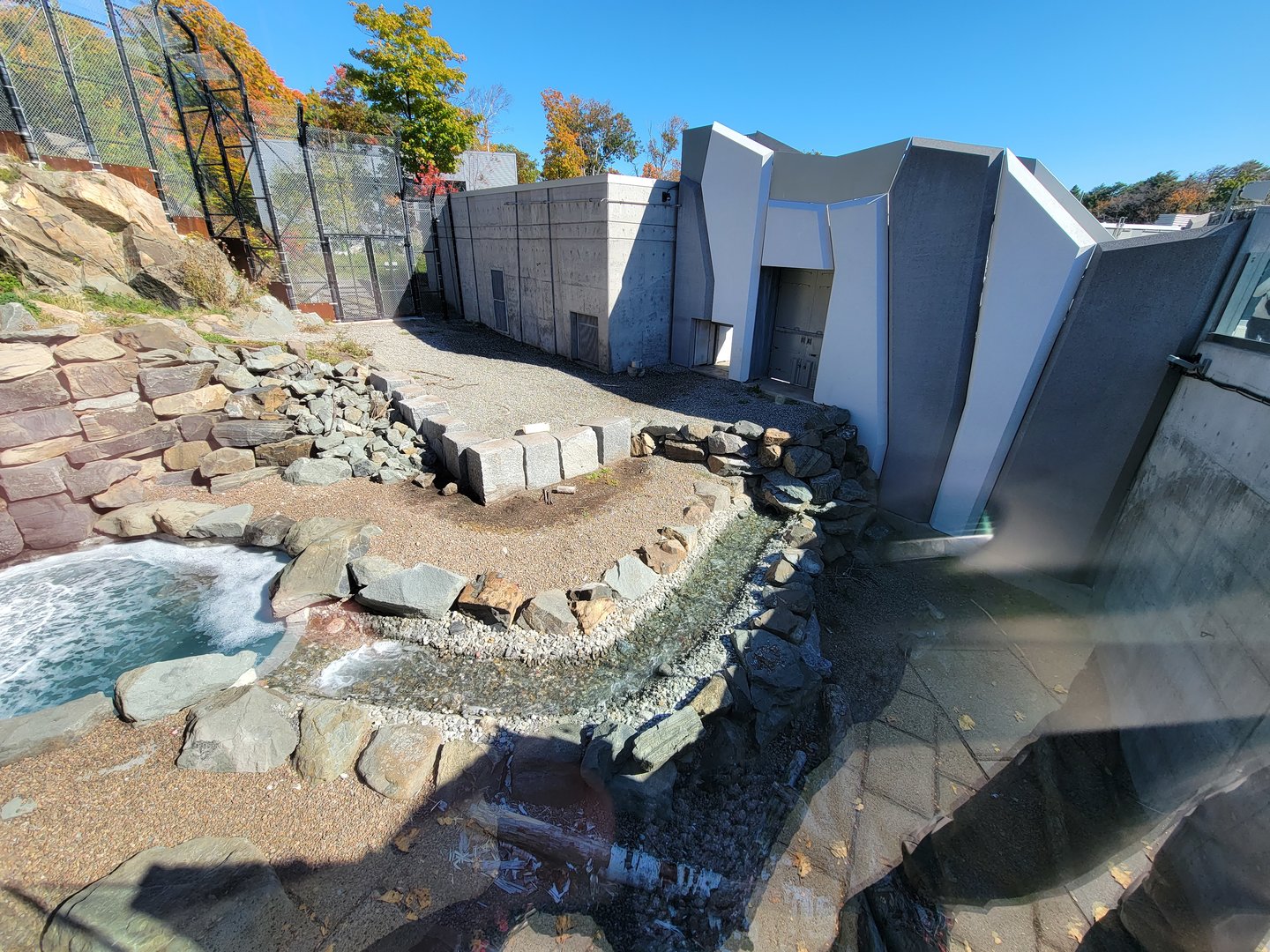 Aquarium du Quebec - Polar Bears, grass yard