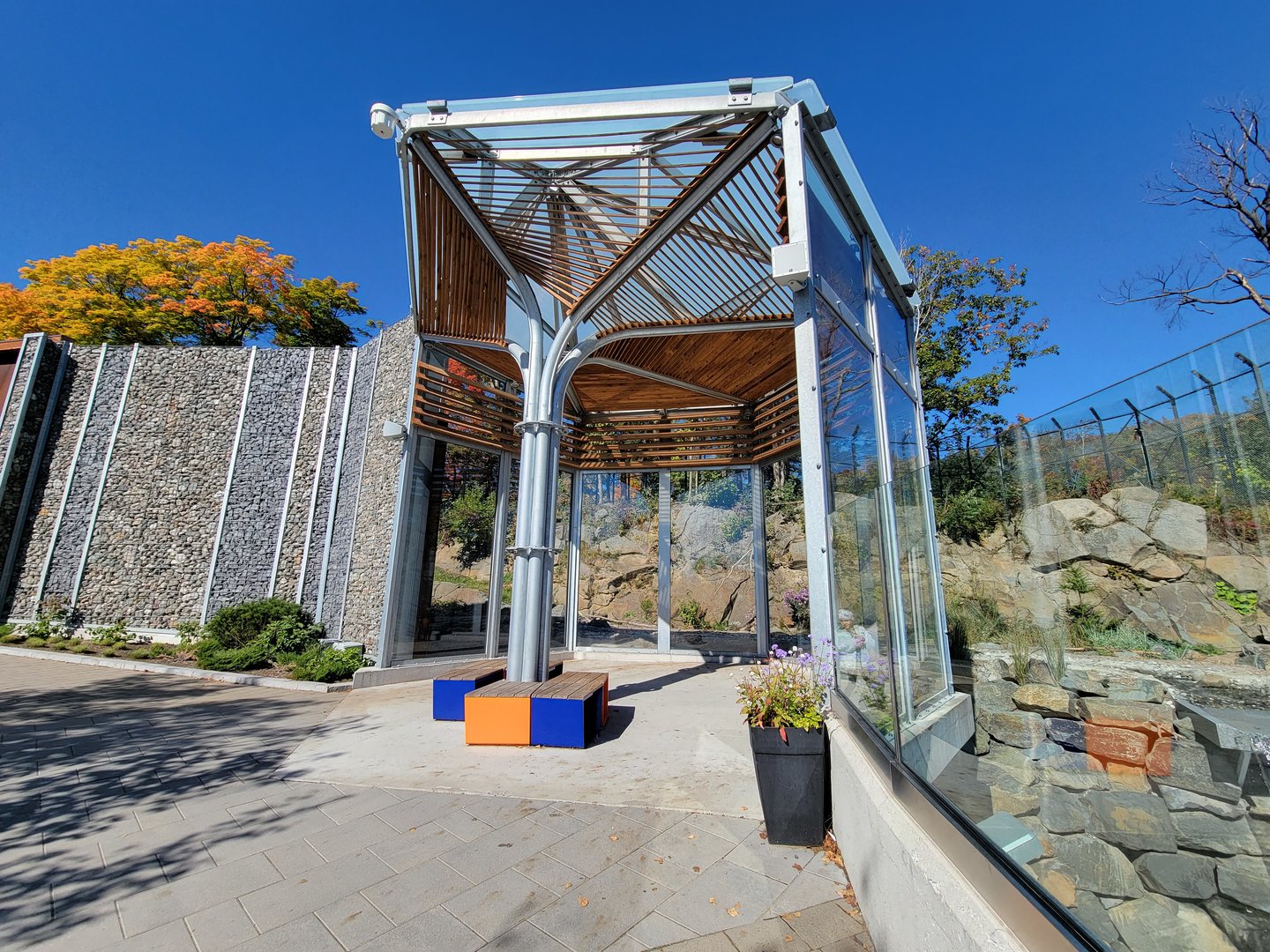 Aquarium du Quebec - Polar Bears, grass yard