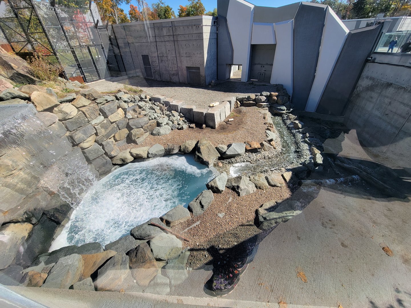 Aquarium du Quebec - Polar Bears, grass yard