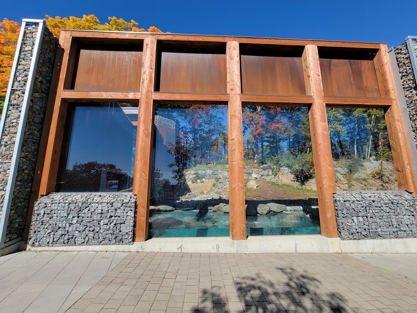 Aquarium du Quebec - Polar Bears, grass yard