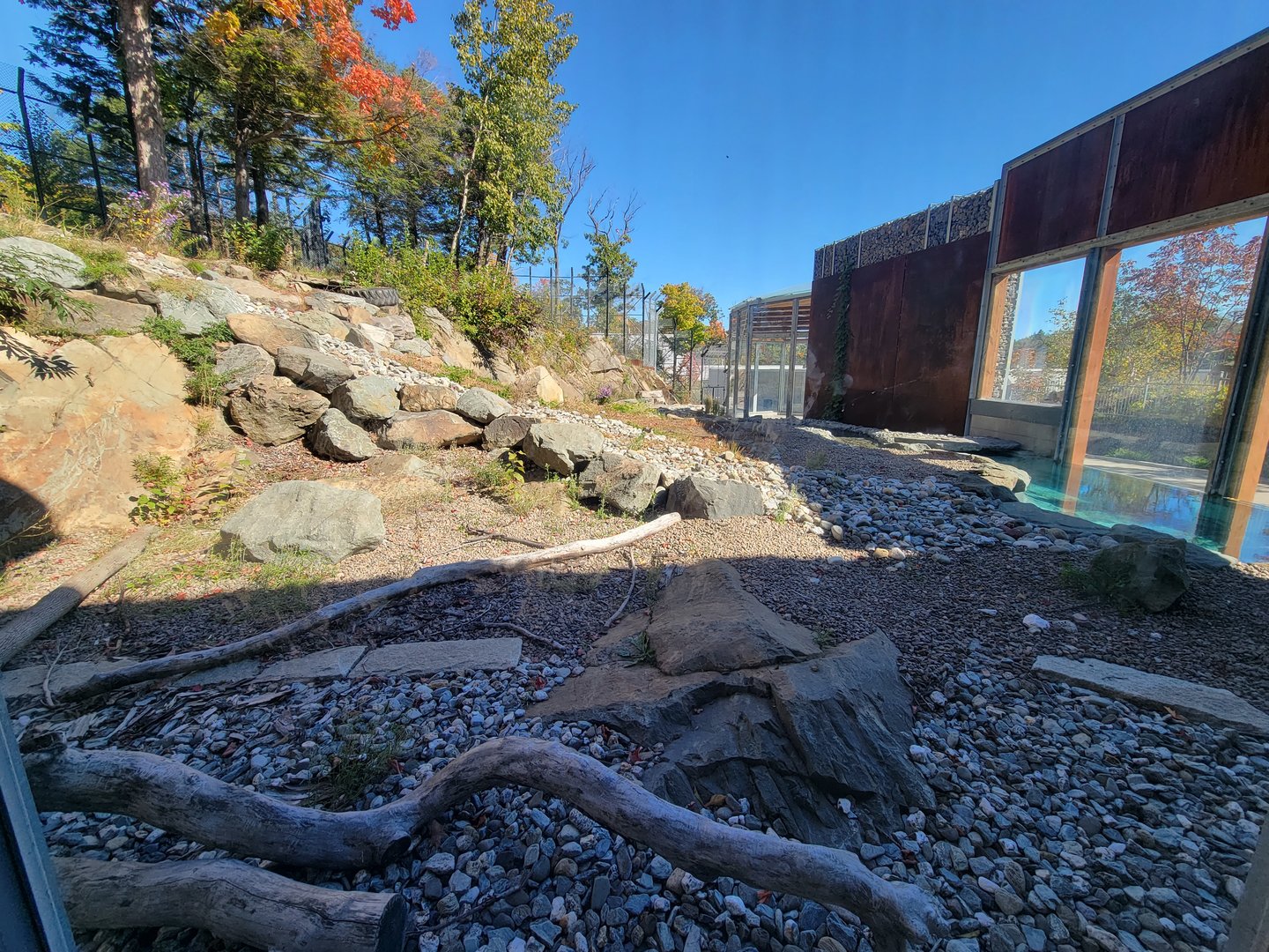 Aquarium du Quebec - Polar Bears, grass yard
