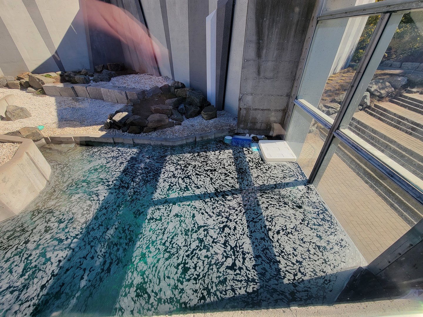 Aquarium du Quebec - Polar Bears, rock yard, viewing window