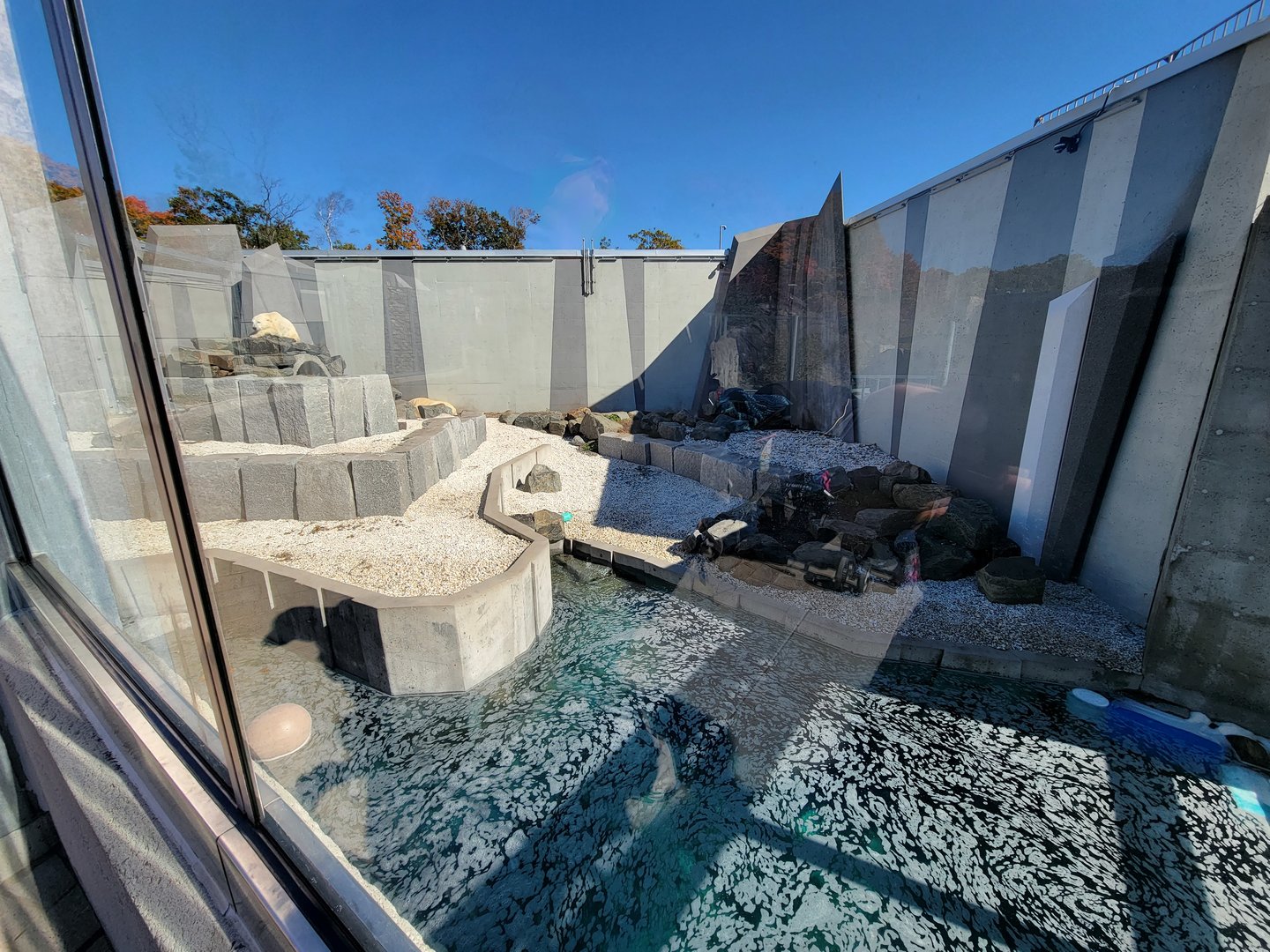 Aquarium du Quebec - Polar Bears, rock yard