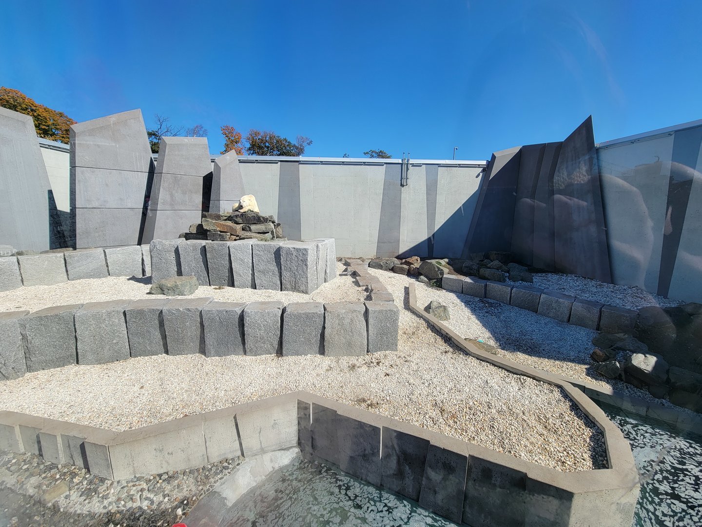 Aquarium du Quebec - Polar Bears, rock yard