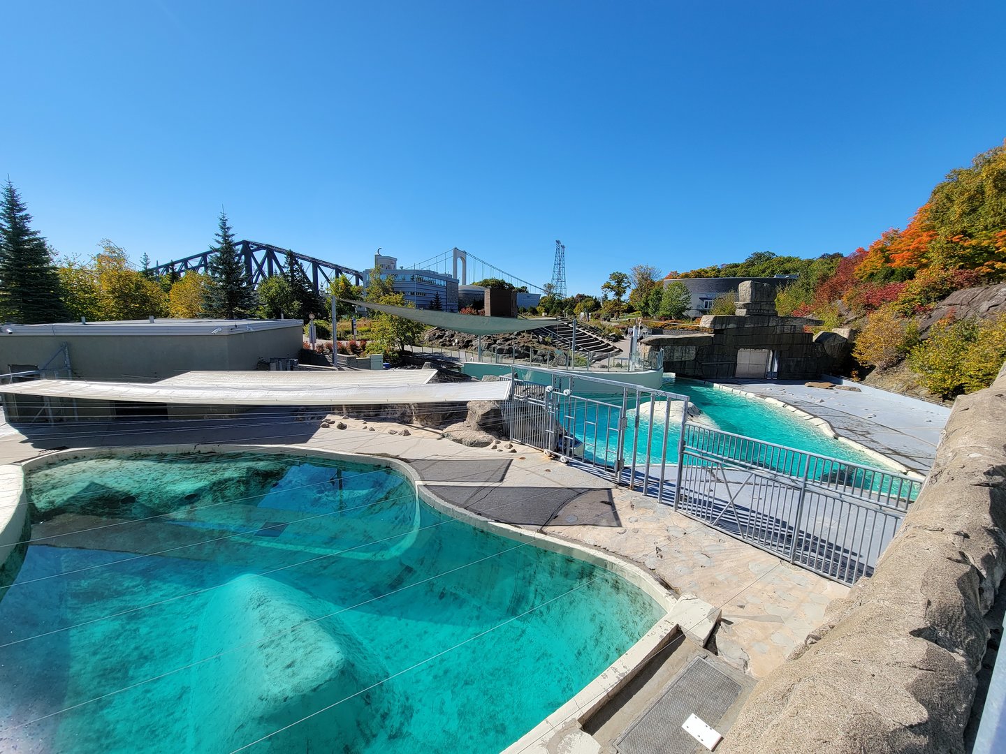 Aquarium du Quebec - Walrus pools