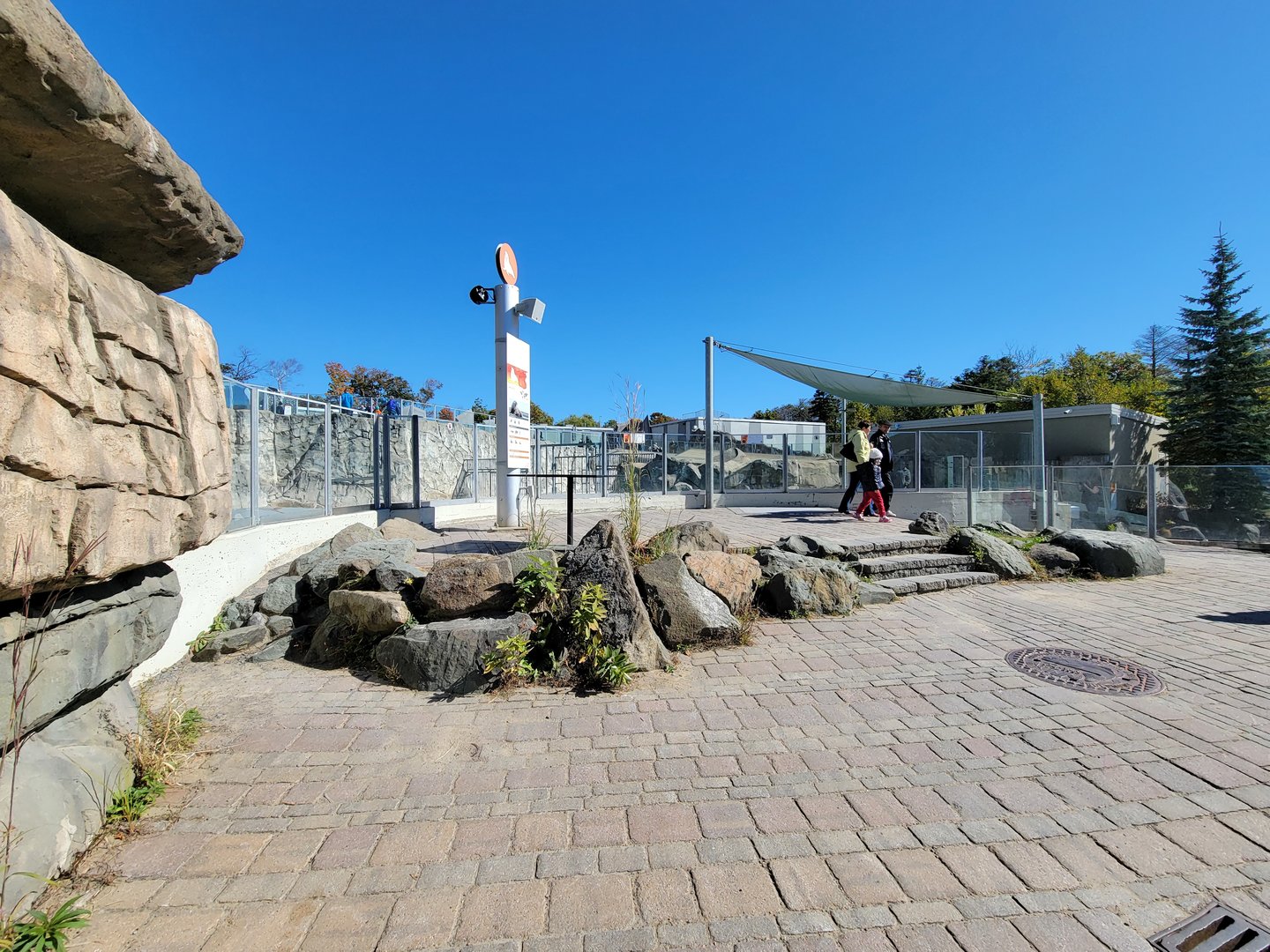 Aquarium du Quebec - Walrus viewing area
