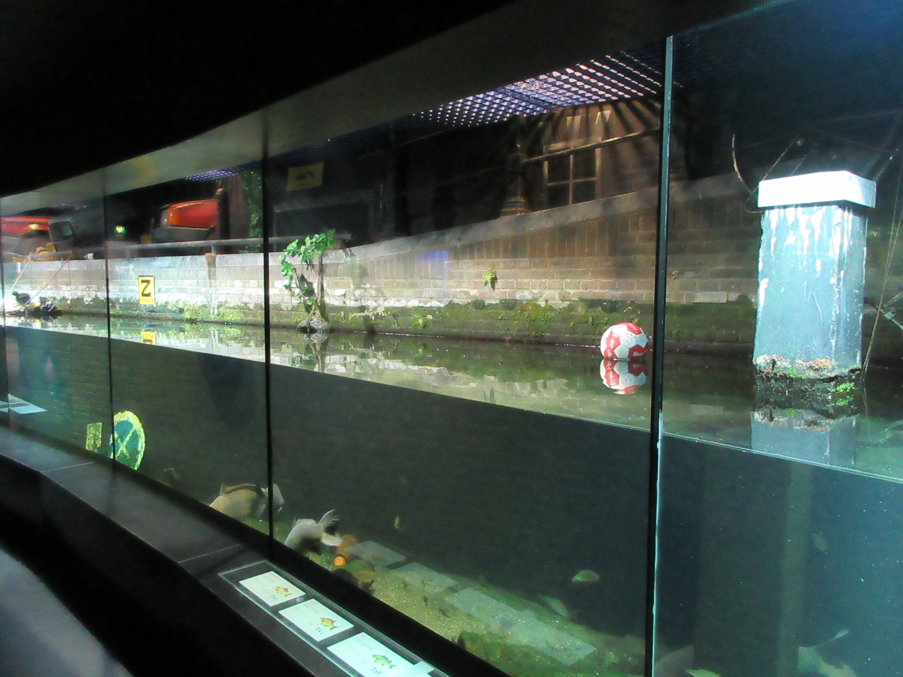 Aquarium - Dutch Canal Tank