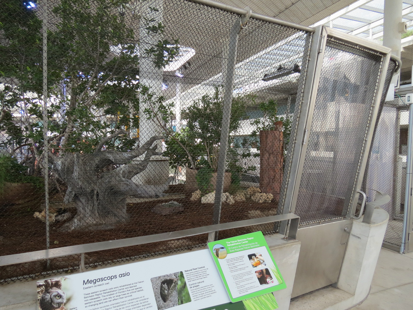 Aquarium - Eastern Screech Owl Exhibit