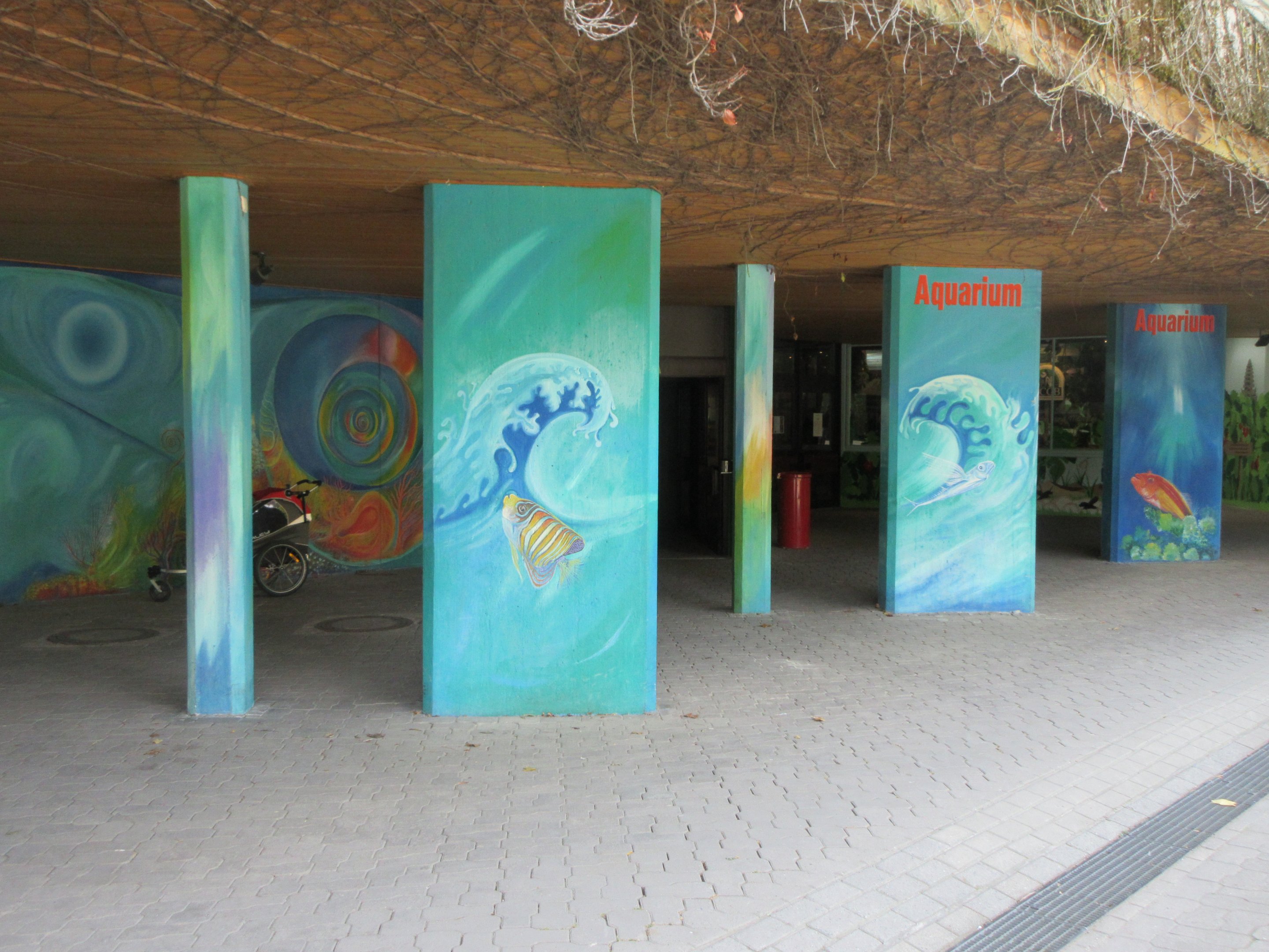 Aquarium Entrance Area