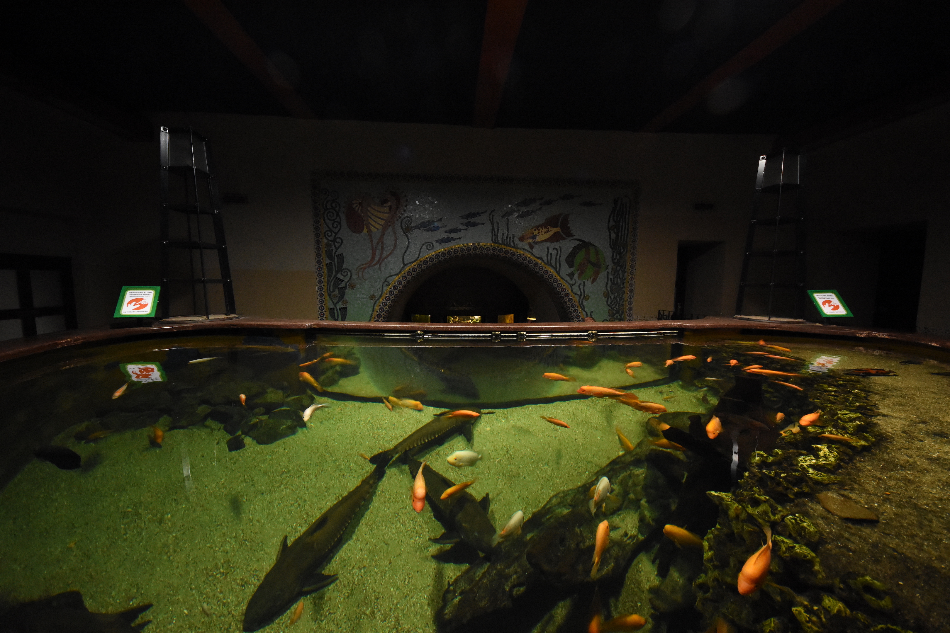 Aquarium - Entrance hall