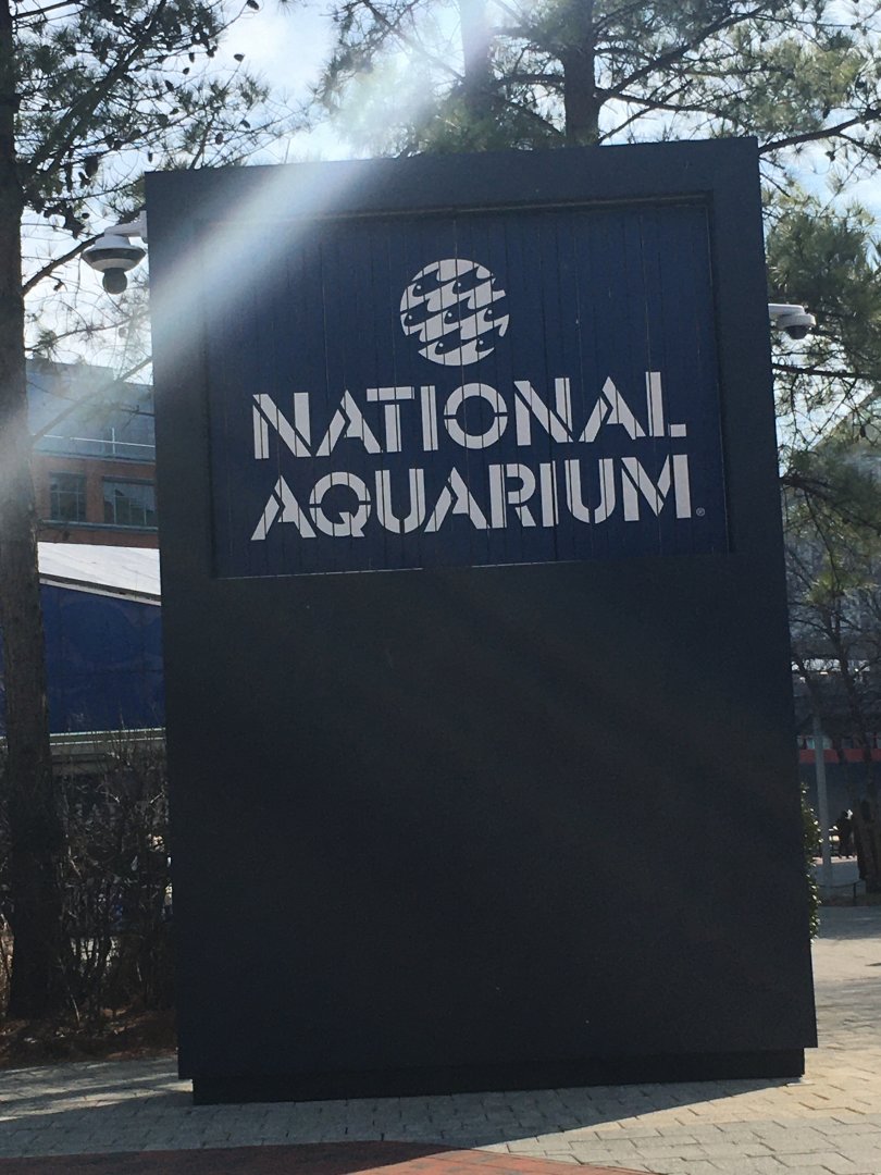 Aquarium Entrance Sign