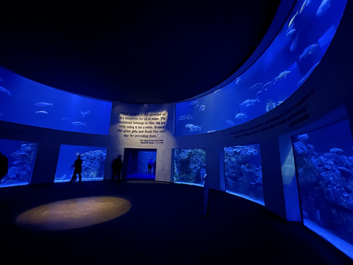 Aquarium Entrance Tank