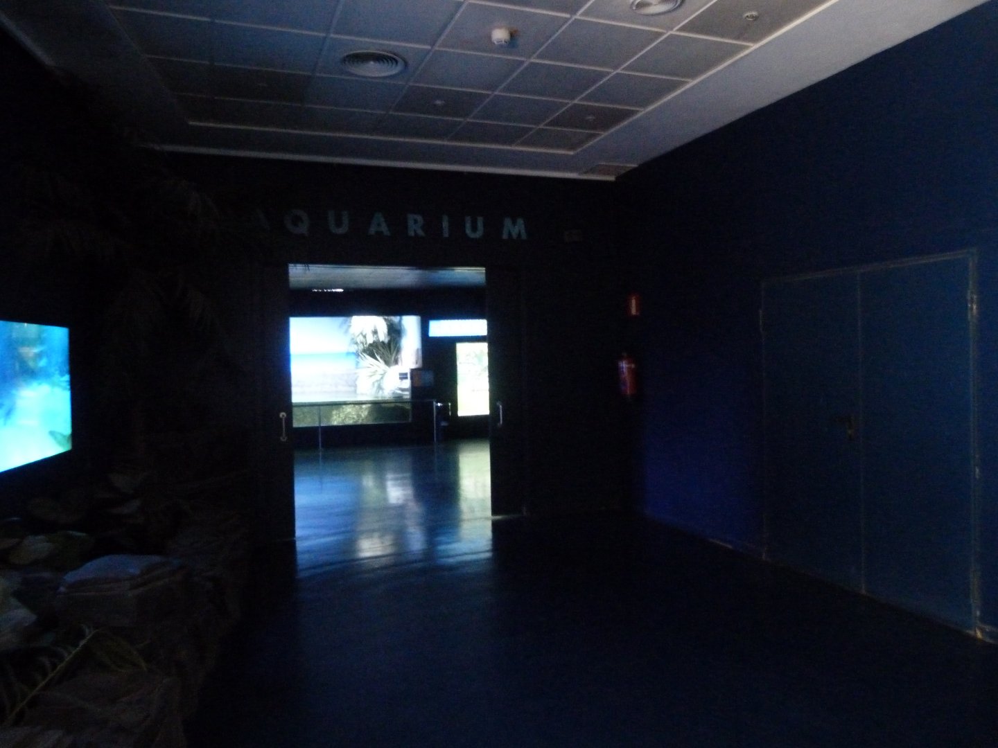 Aquarium entrance -Zoo Aquarium de Madrid (2025)