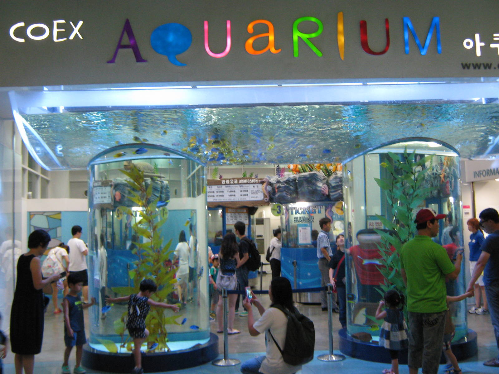 Aquarium entrance