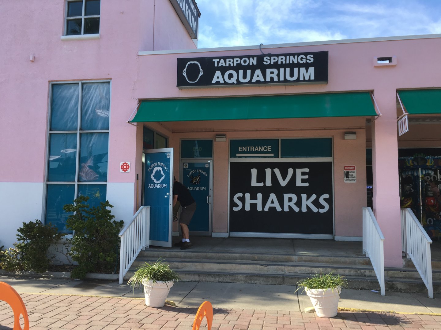 Aquarium Entrance