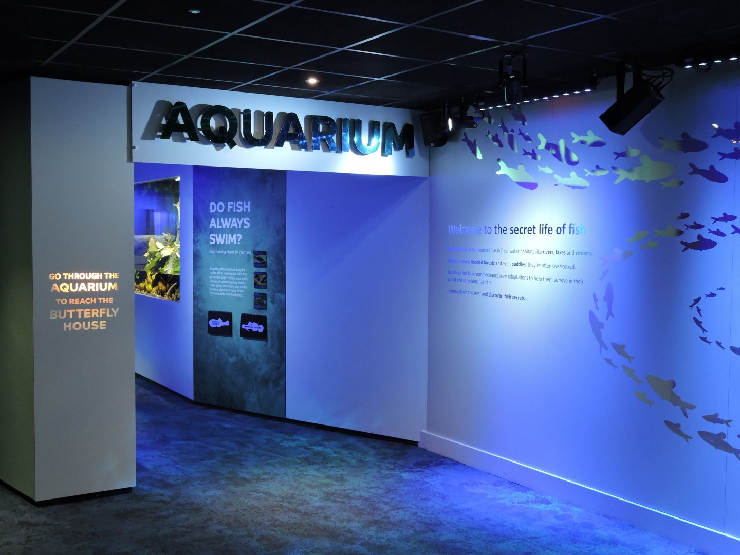 Aquarium Entrance