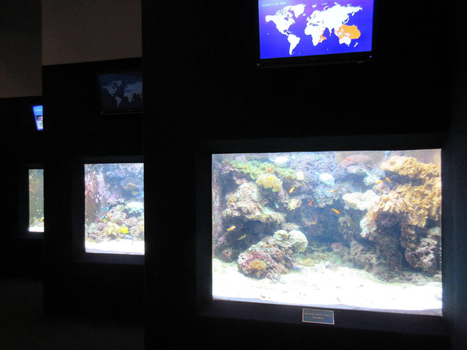 Aquarium - example of staggered tanks