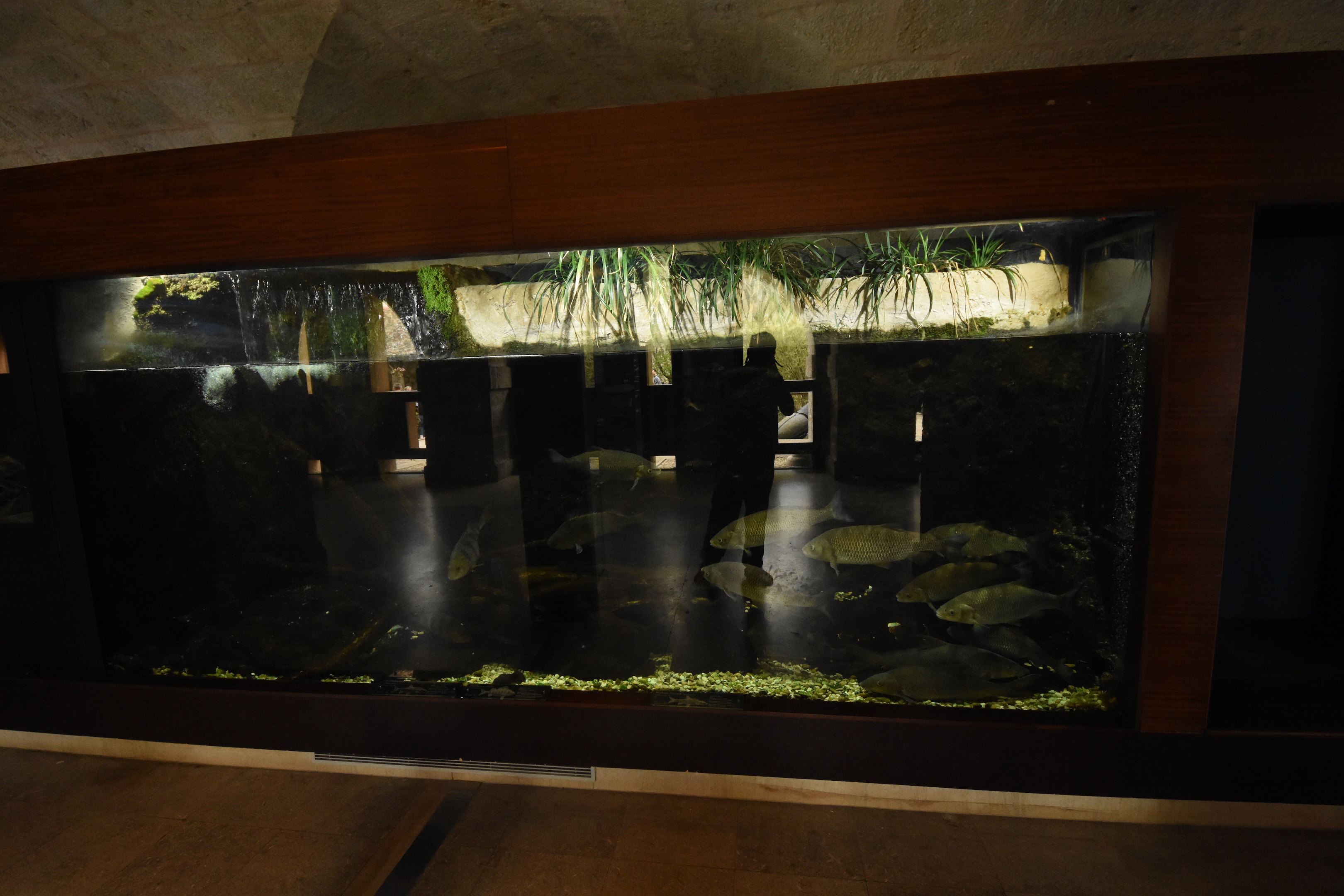 Aquarium example