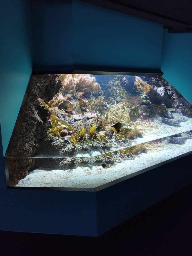 Aquarium example