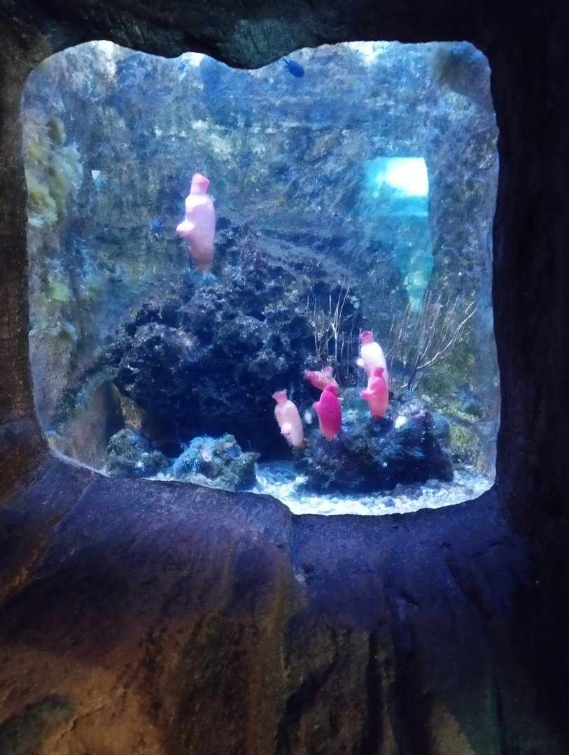 Aquarium example