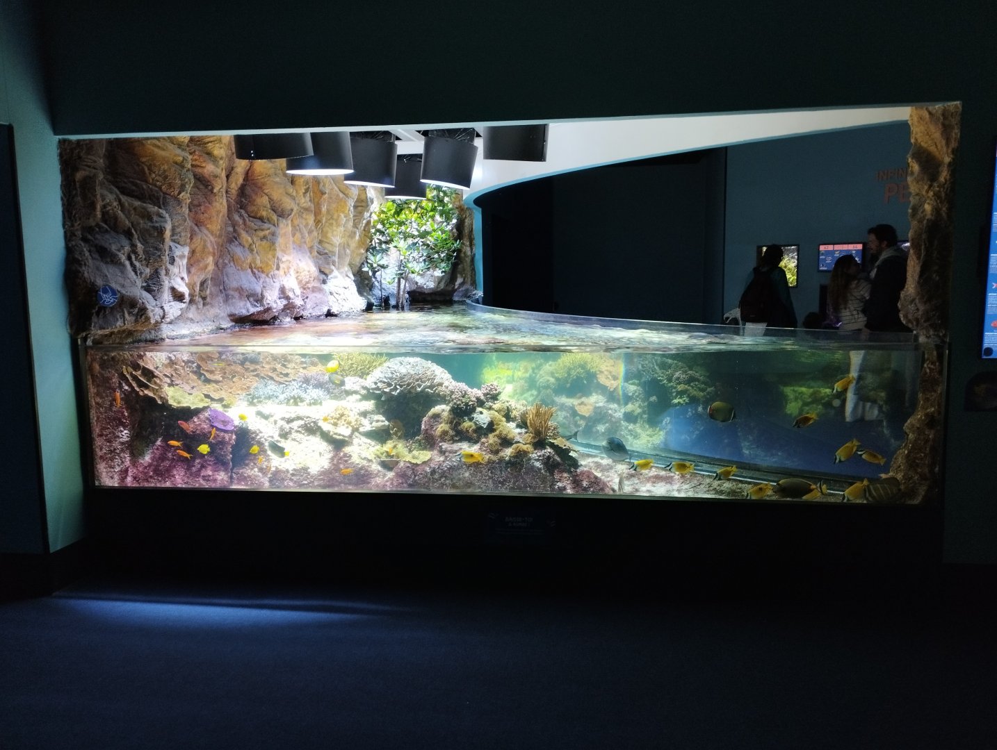 Aquarium example