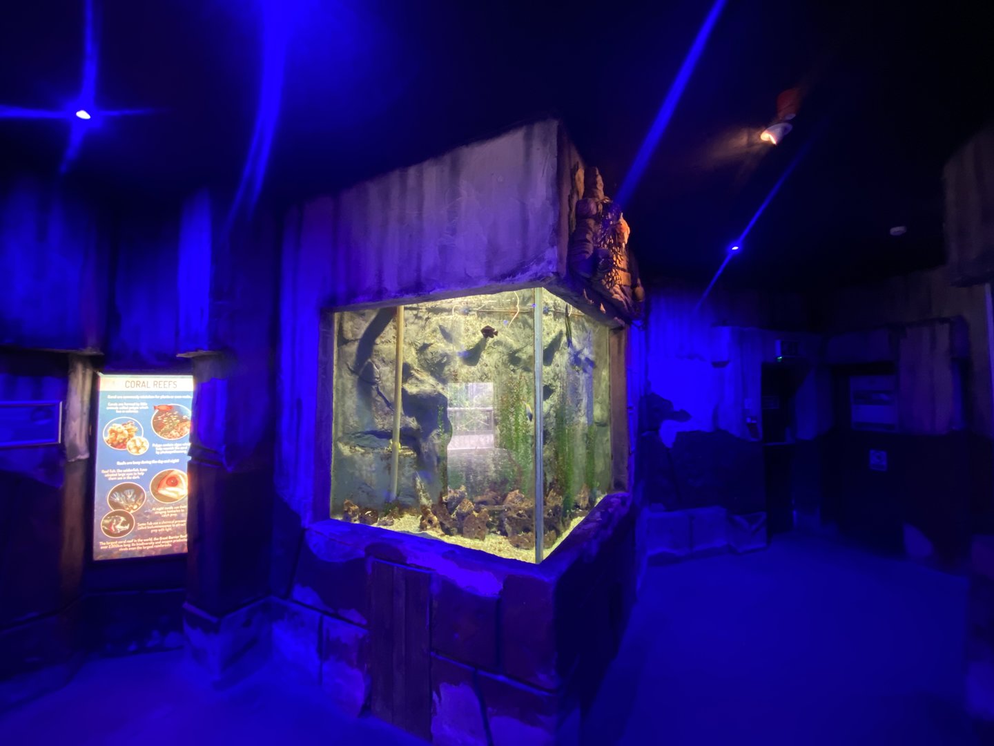 Aquarium exhibit 150523