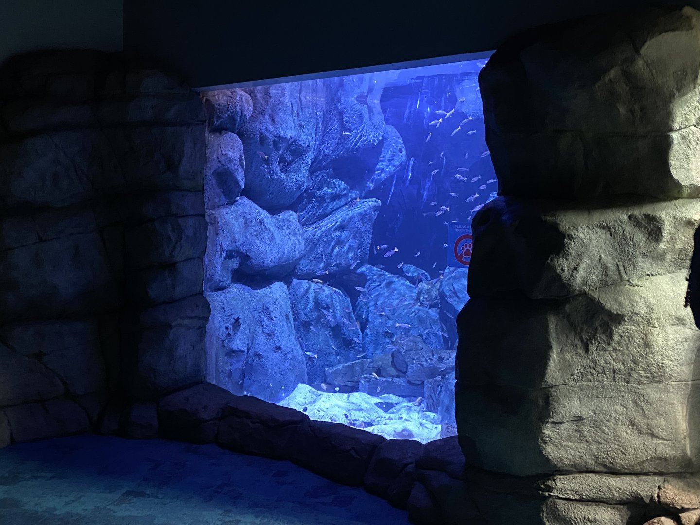 Aquarium exhibit 190322