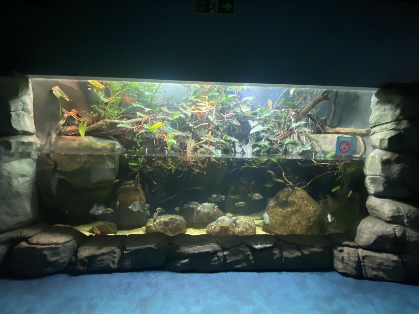 Aquarium exhibit 190322