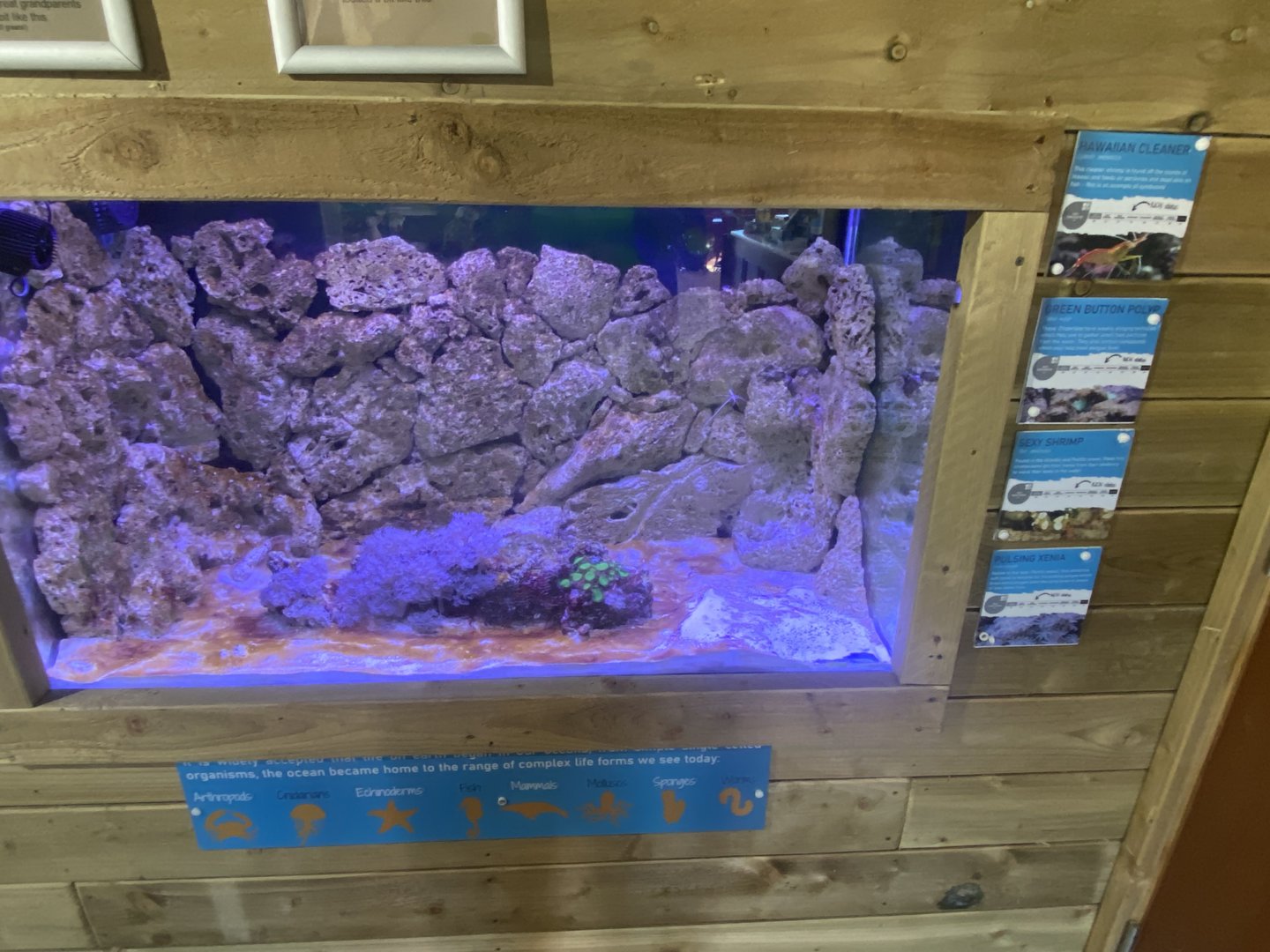 Aquarium exhibit 230922