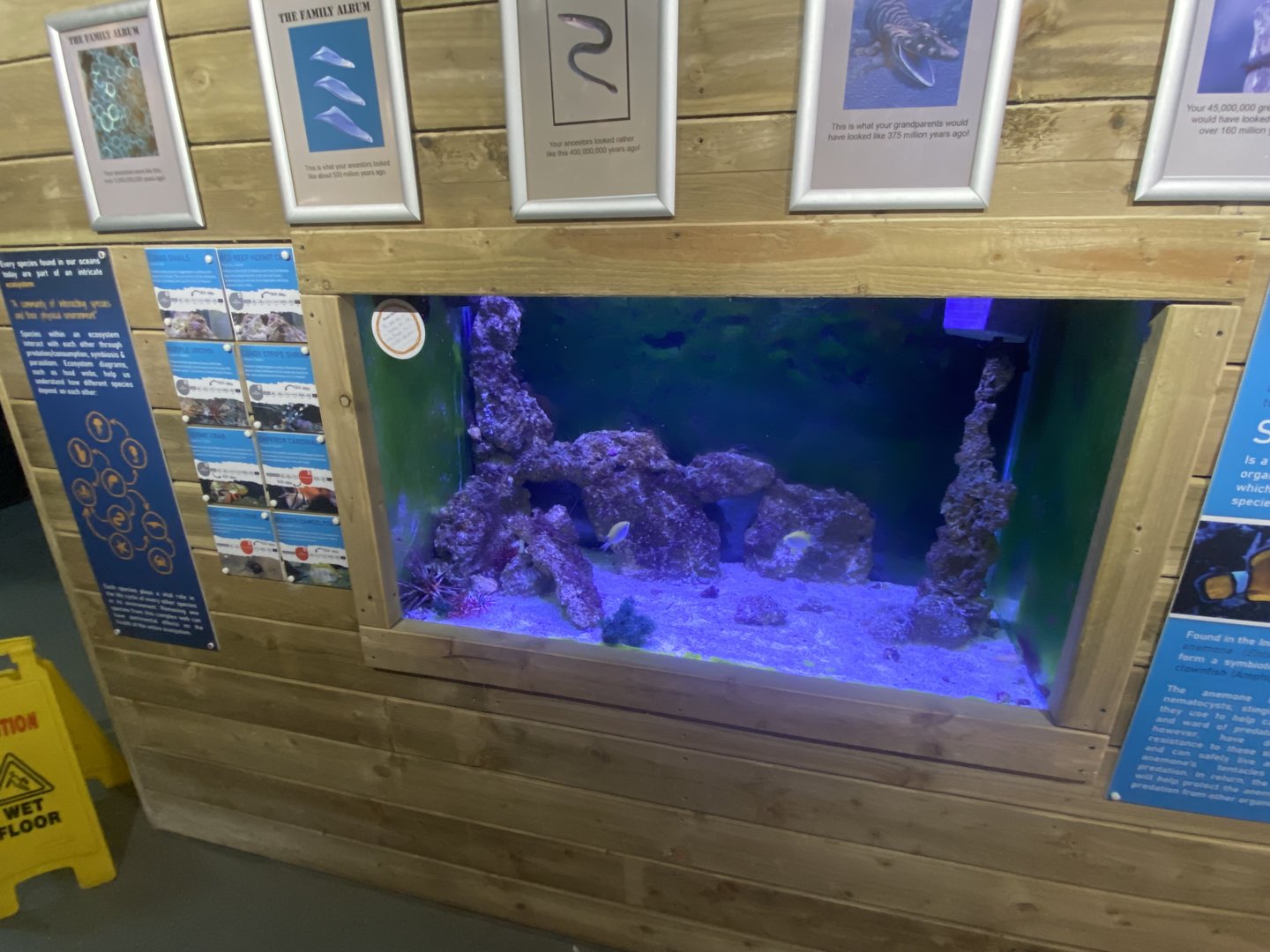 Aquarium exhibit 230922