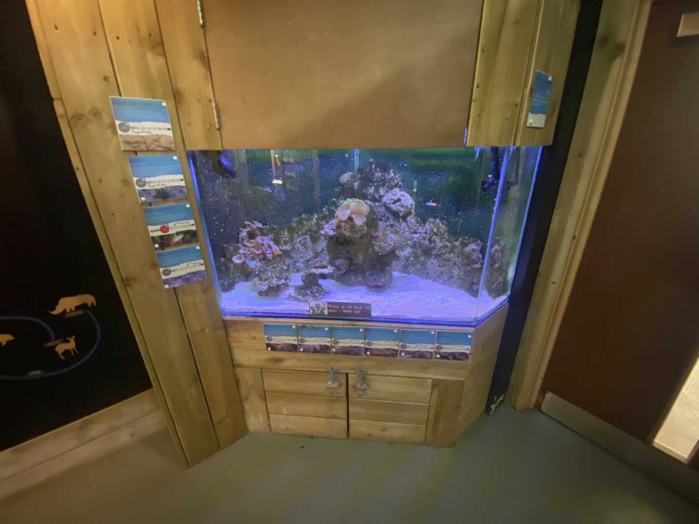 Aquarium exhibit 230922