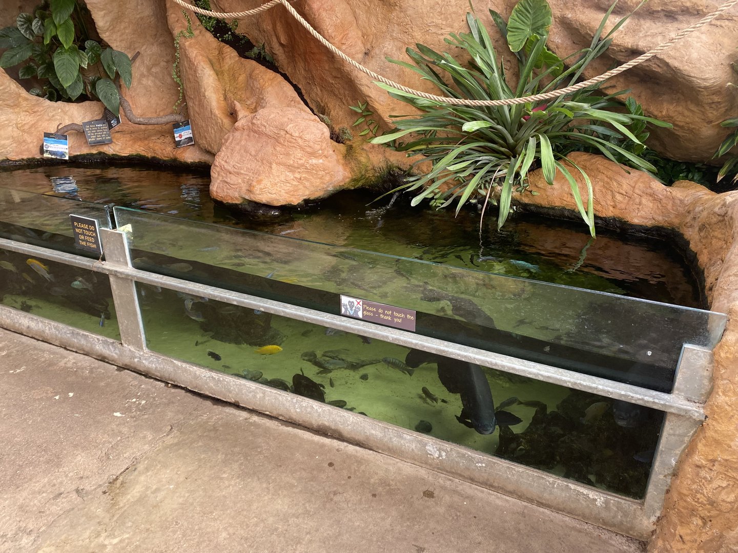 Aquarium exhibit 230922