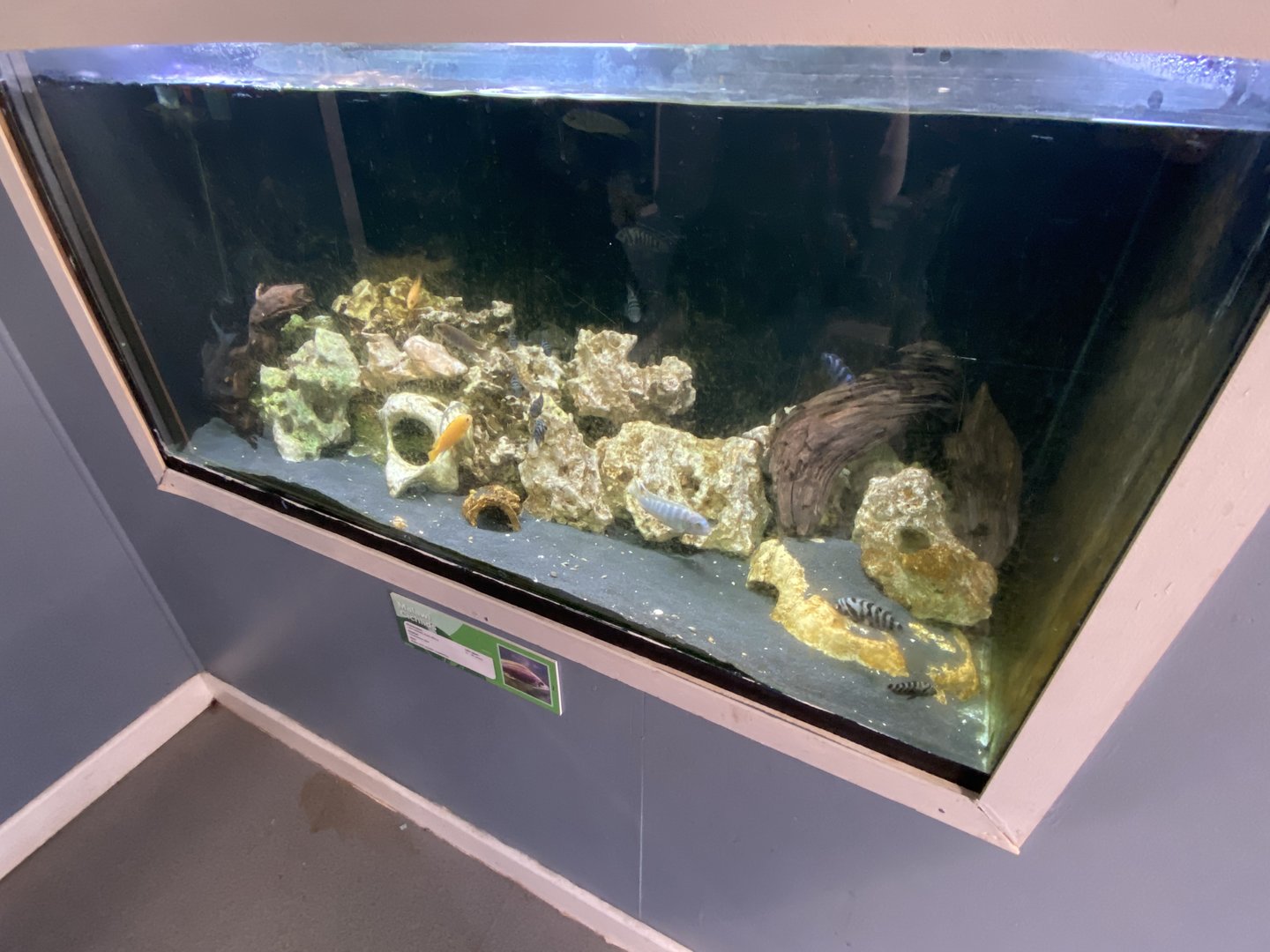 Aquarium exhibit 231022