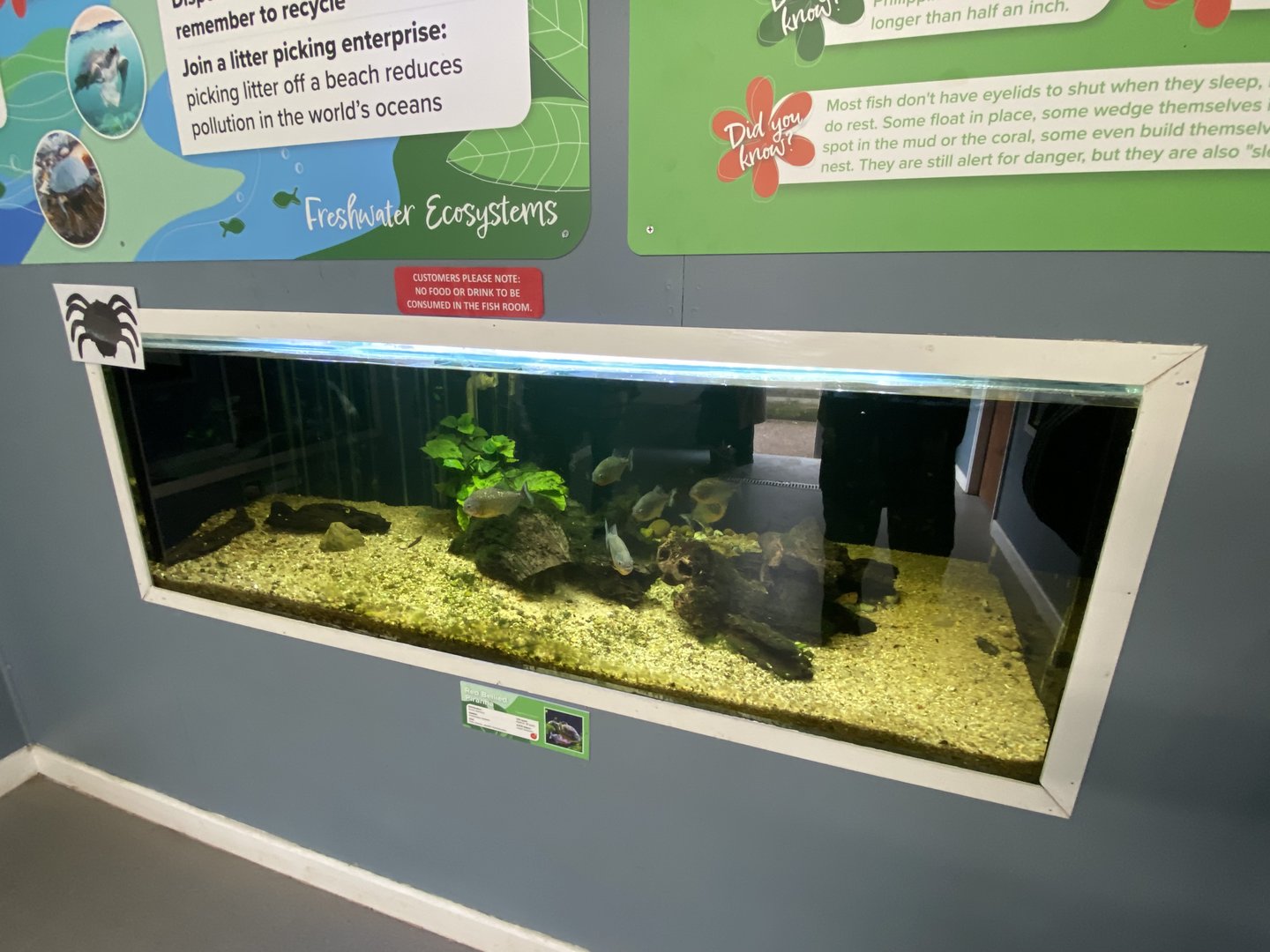 Aquarium exhibit 231022