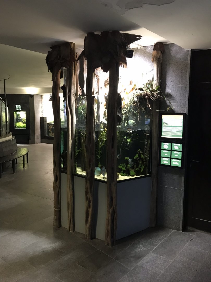 Aquarium exhibit 280118