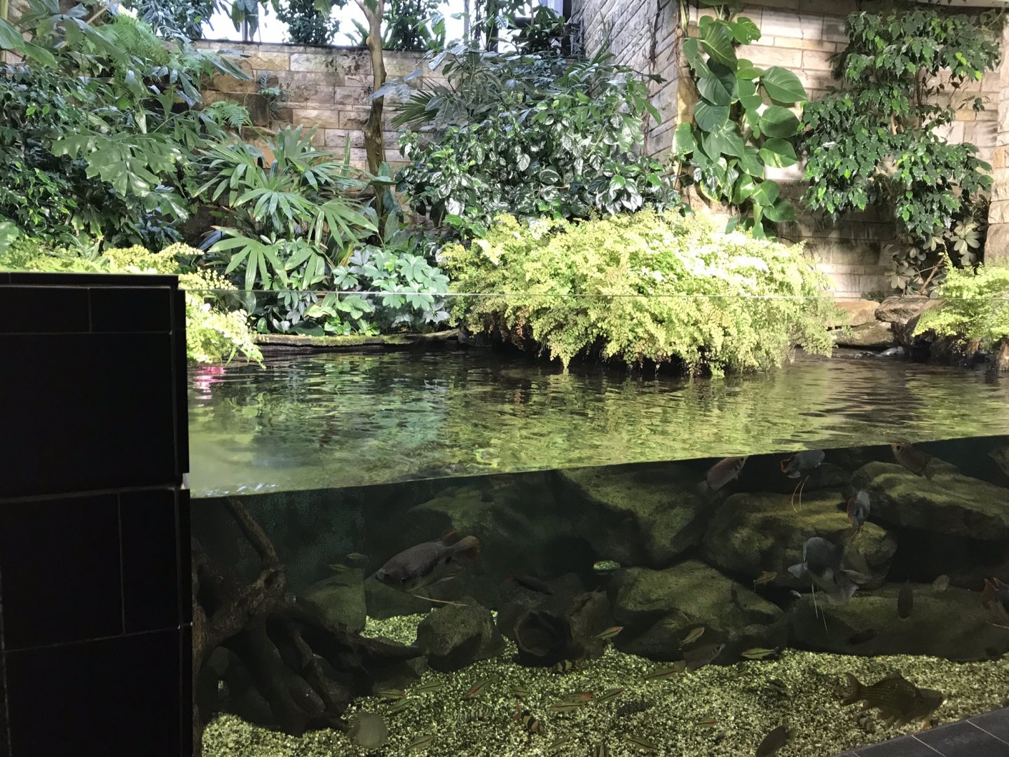 Aquarium exhibit 280118