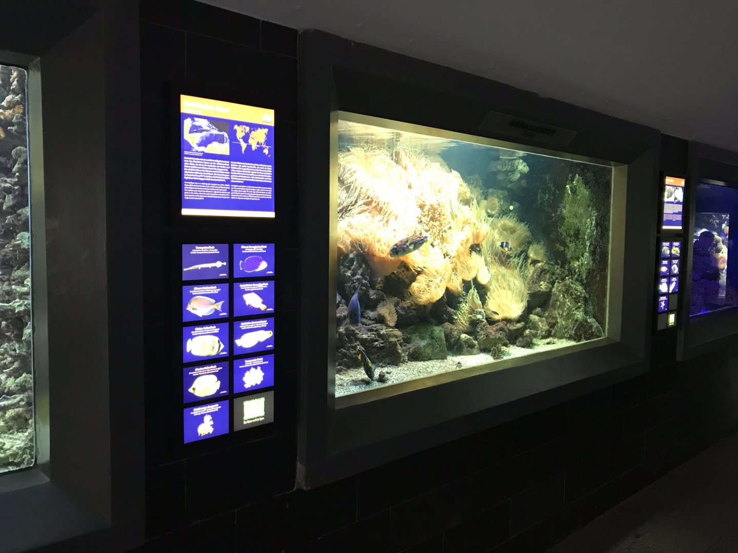 Aquarium exhibit 280118