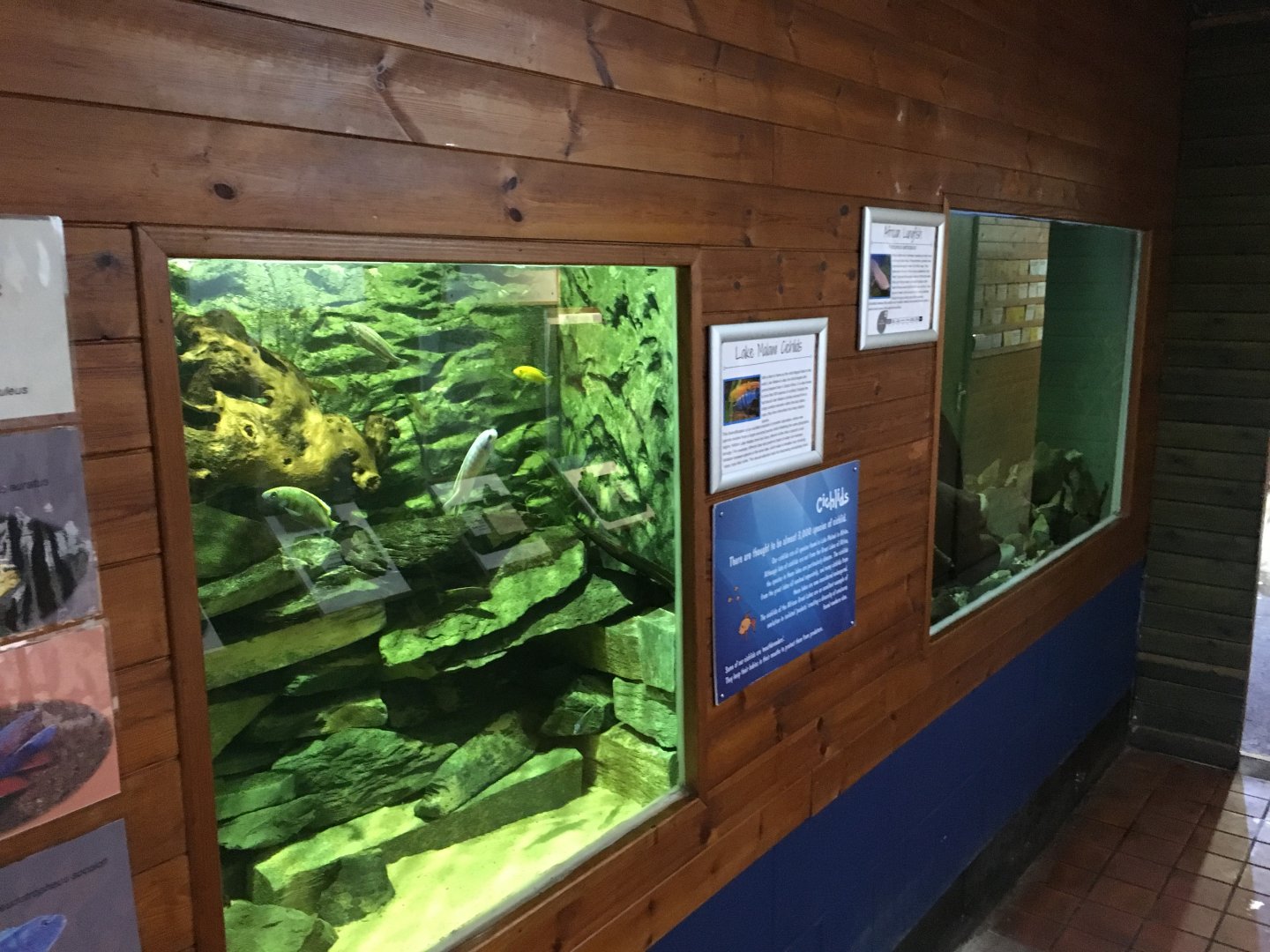 Aquarium exhibits 010817