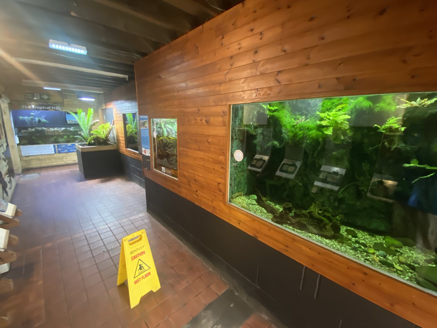 Aquarium exhibits 230922