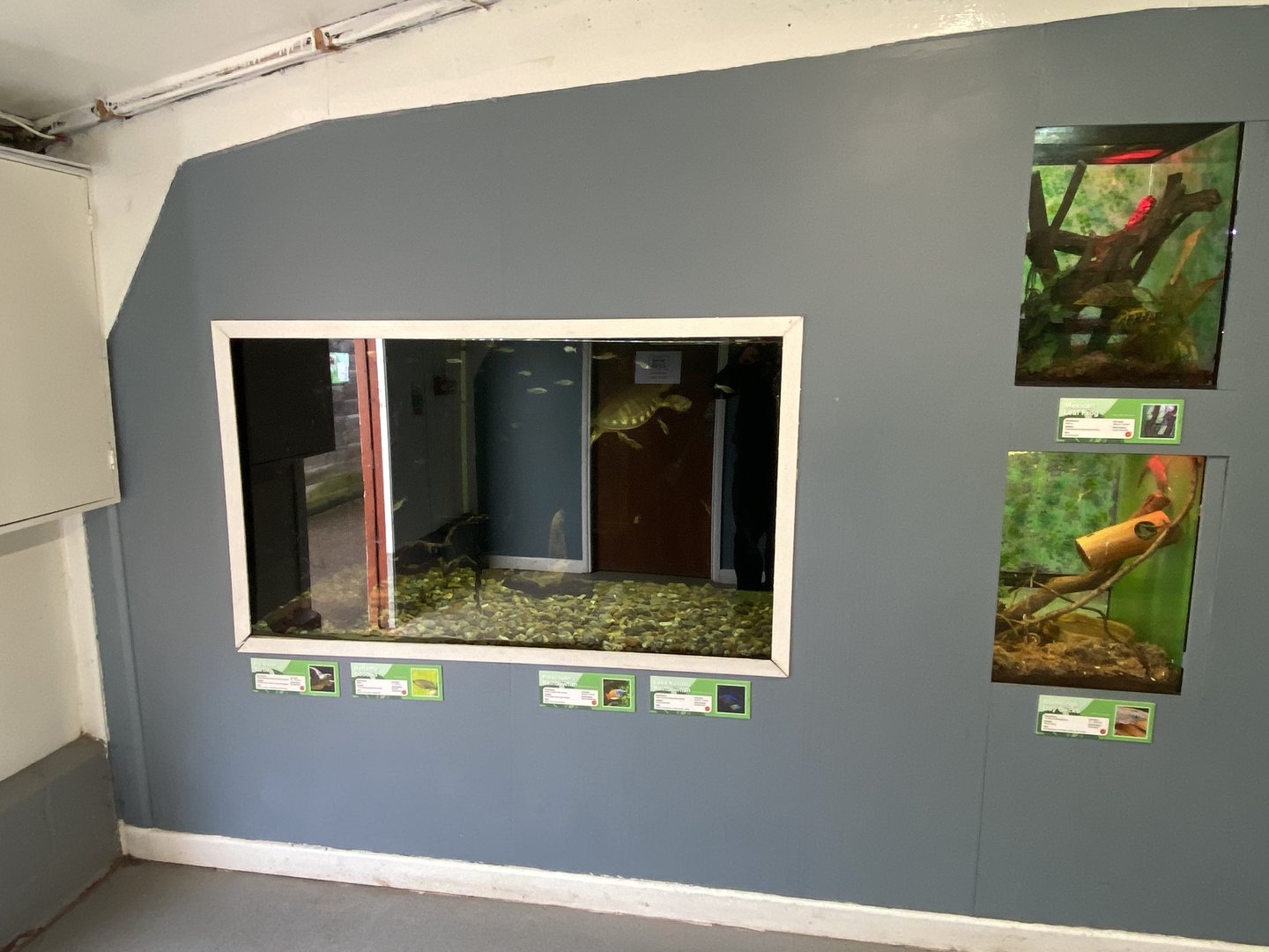 Aquarium exhibits 231022