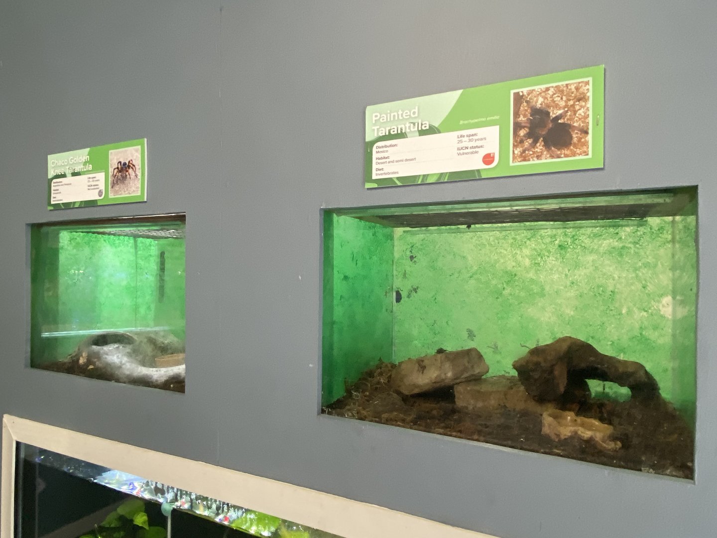 Aquarium exhibits 231022